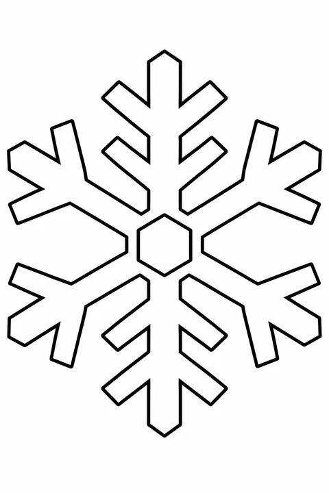 Snowflake with Broad Branches