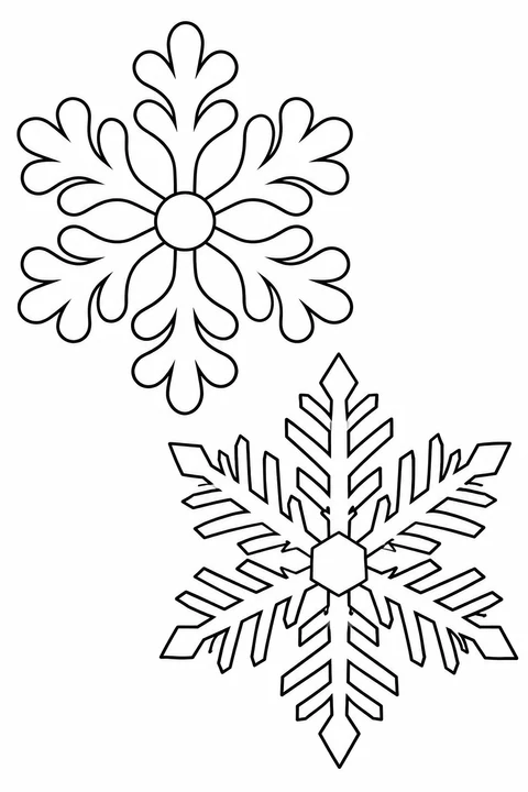 Rounded and Angular Snowflakes
